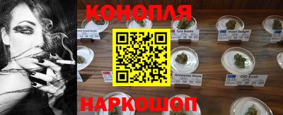 Альфа ПВП Гусиноозёрск