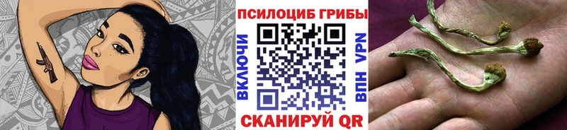 Галлюциногенные грибы прущие грибы  Пыть-Ях 